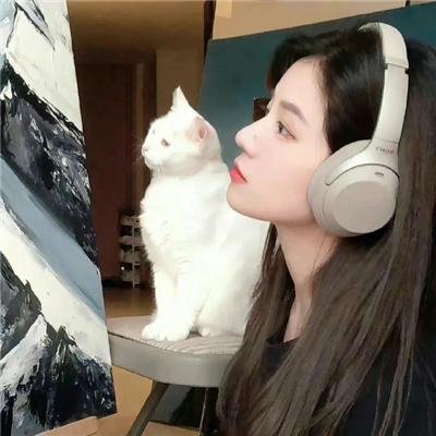贵妇失踪记